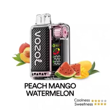 VOZOL VISTA 20k PUFFS Peach Mango Watermelon 